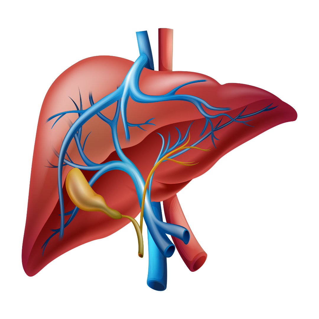 spesial-liver